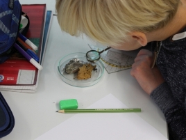 GymTo-Projektwoche-2018-13